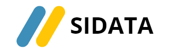 SIDATA is the best server rental service